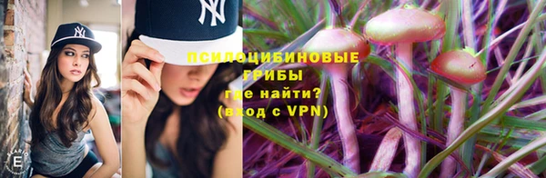тгк Заволжск