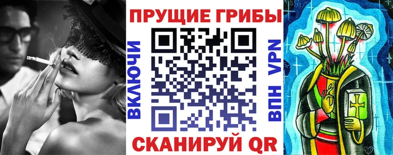 где купить наркотик  MEGA   Галлюциногенные грибы MAGIC MUSHROOMS  Стерлитамак 