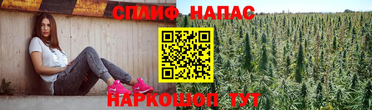 МАРИХУАНА план  Шишки марихуана гибрид  Стерлитамак  Вход с VPN  Бошки Шишки сатива 